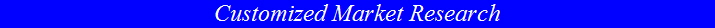 Customized Market Research