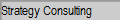 Strategy Consulting